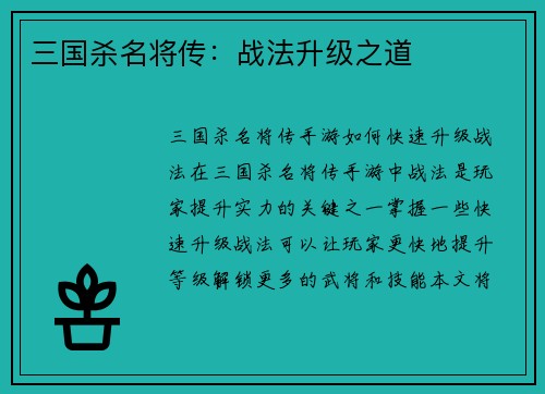 三国杀名将传：战法升级之道